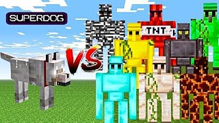 SuperDog vs ALL Golems | Minecraft mob battle