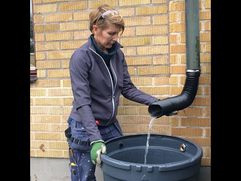 Disconnect downpipes and install a water barrel in your garden