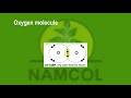 Bonding Basics: Covalent and Ionic Interactions in Chemistry