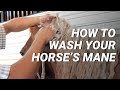 How To Wash Your Horse's Mane