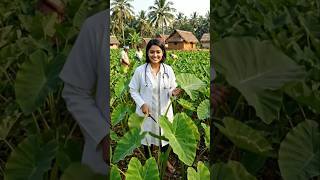Aarohi ke patte #trending #video #youtube #viral #reels #patte #abhilash9343ias