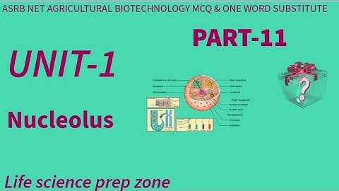 ASRB CSIR NET GATE BT DBT JRF AGRICULTURE BIOTECHNOLOGY PART-11 NUCLEOLUS