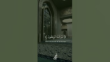 سورة العنكبوت |55 - 58| القارئ : #عبدالرحمن_مسعد #quran #راحة_نفسية #viral #foryou #اجر_لي_ولكم🤎.