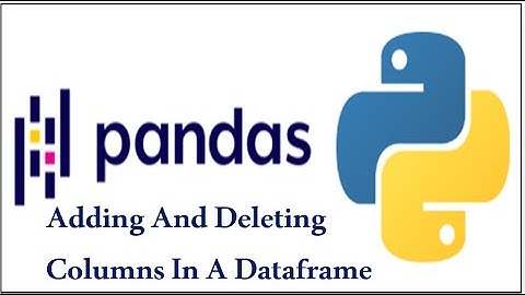 ADD | DELETE | COLUMNS | DATAFRAMES | PYTHON | PANDAS | IP | CLASS-XII