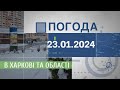 Прогноз погоди в Харкові та Харківській області на 23 січня