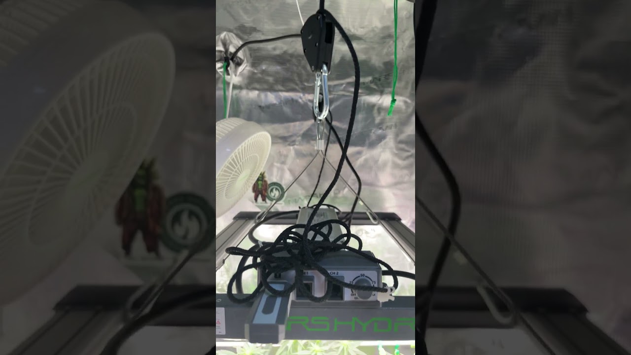 Wenn die Wertschätzung mal wieder ganz hinten steht… hier ist eine 