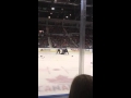 Amerks vs Senators hockey game fight