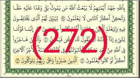 سورة النحل رقم الصفحة 272 مجود بصوت القارئ الشيخ أيمن سويد حفظه الله