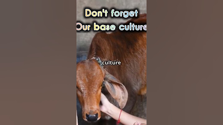 Love for animals #kind heart #our base our culture #true love