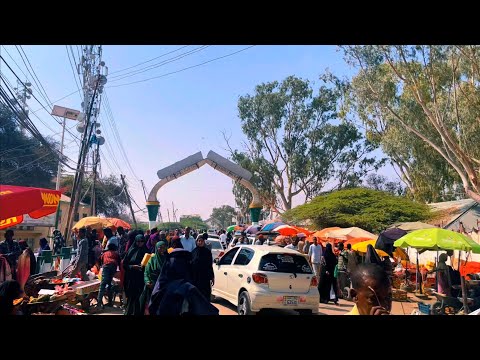 Xaalda ganacsatadii suuqa waaheen iyo qaybaha badbaaday. Hargeisa somaliland