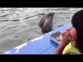 下田海中水族館 イルカにタッチ の動画、YouTube動画。