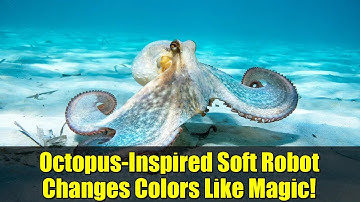 Octopus-Inspired Soft Robot Changes Colors Like Magic!
