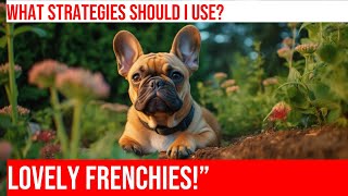 How to Stop Possessive Behavior in French Bulldogs | Pet Training Tips