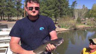 Spring fish stocking at Frances Short