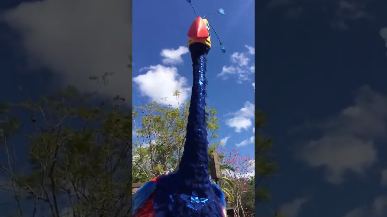 maintain Kevin from UP Makes Her Debut at Animal Kingdom!