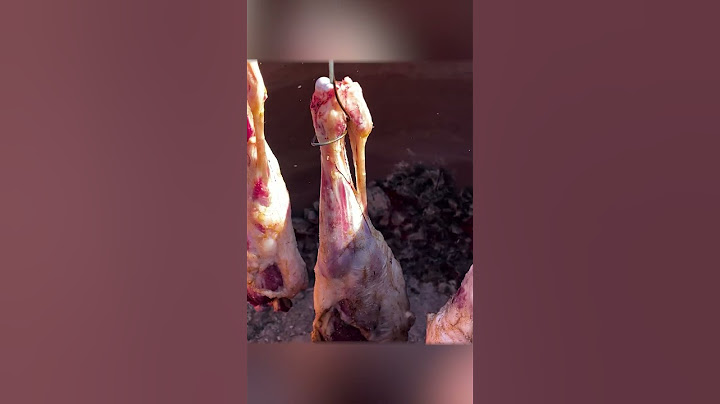 Fire Tandoor Edition Outdoor Bone Feast 🔥