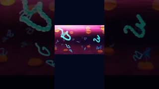 Endoplasmic Reticulum Rough Er Vs Smooth Er Easy Animation