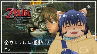 【ゼルダの伝説 トワイライトプリンセス】諸悪の根源 #3【猫酪真珠】