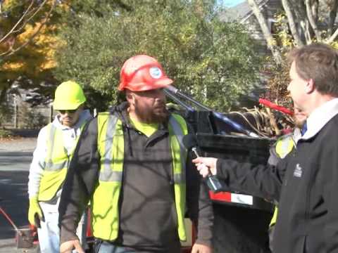 official secrets NB Reaches Tree Planting Milestone