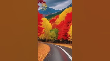 🌺 القرآن الكريم 🌺 ما قدروا الله حق قدره 🌺 تلاوة خاشعة بصوت قمة في الجمال 🌺 القارئ خالد الجليل 🌺