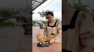Ngũ Điểu gỗ Hoàng Dương hàng s.iêu kĩ👍👍|0938410333 #tuonggodocdao #gohoangduong #ngudieu