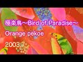 【cover・ひとりで三重唱】 極楽鳥~Bird of Paradise~orange pekoe