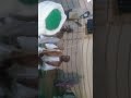 نشيده يا باسط الارض كلمات الشيخ النور ابوشمال اداء ابوبكر مصطفى