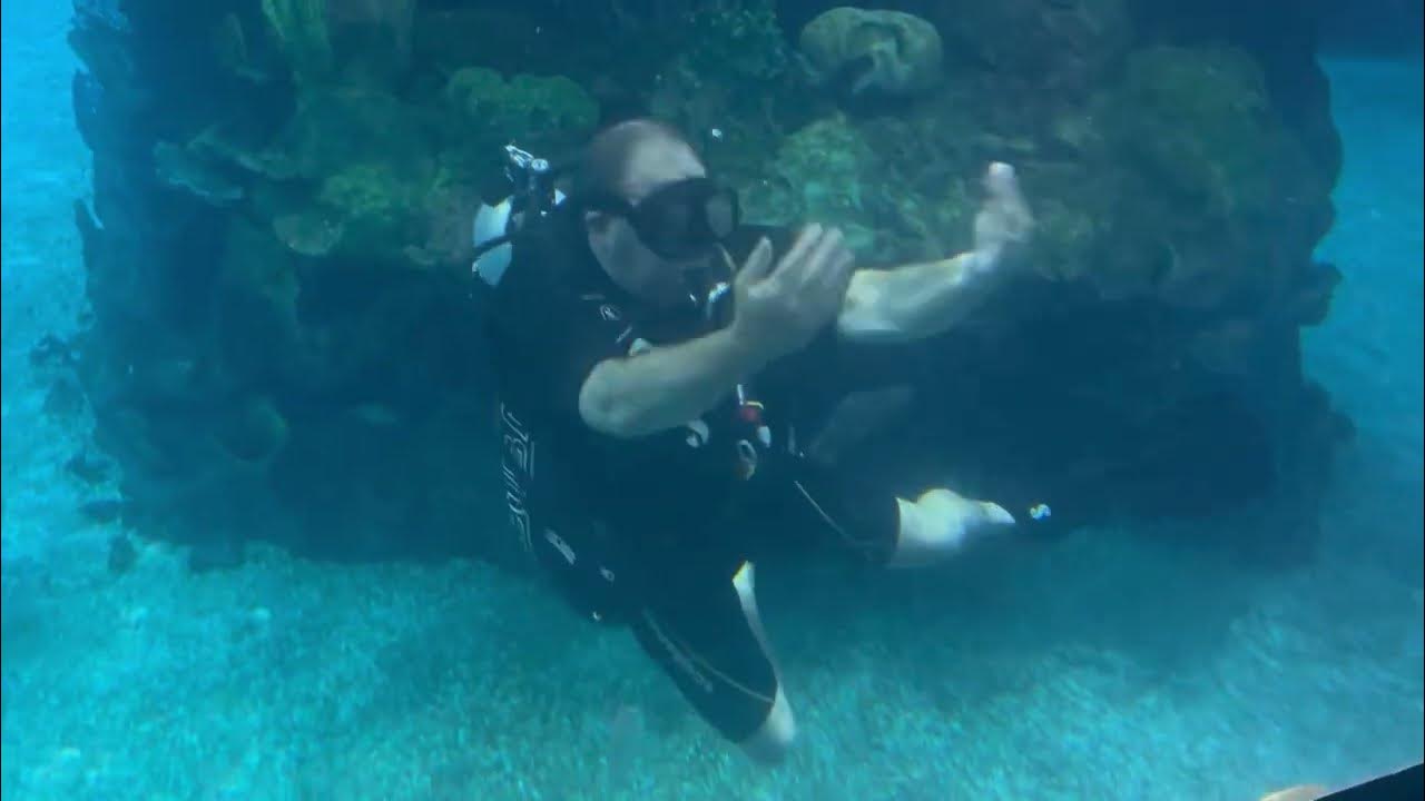 Diving the tank at Epcot Dive Buddy Scuba Adventures1 YouTube