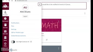 How to authorize google drive in Canvas