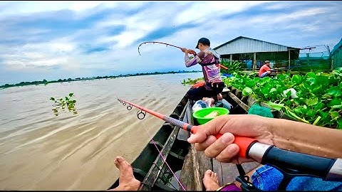 Câu Cá Vồ Đém Mùa Nước Nổi #45 || Đóng Cá Nổ Luôn Cây Cần