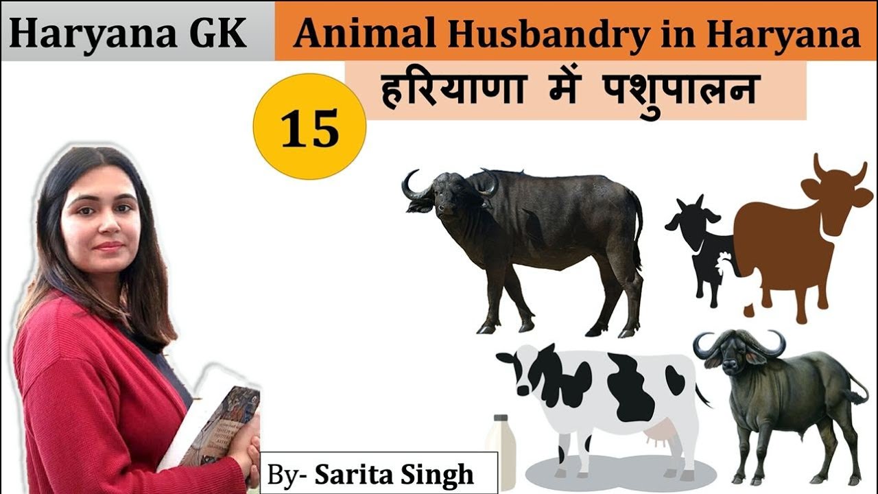 हरियाणा में पशुपालन/ Animal Husbandry in Haryana || Arihant || Haryana GK  || by Sarita Singh - YouTube