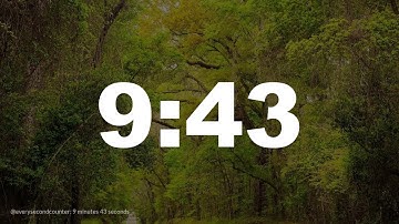 9 minutes 43 seconds [583 secs] clock timer countdown || Alarm Focus