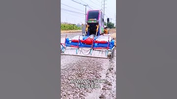 Simple Smart Idea for Plowing Rice Fields Using Modern Machines #shorts