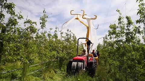 Drape Net: Cost Effective Crop Protection