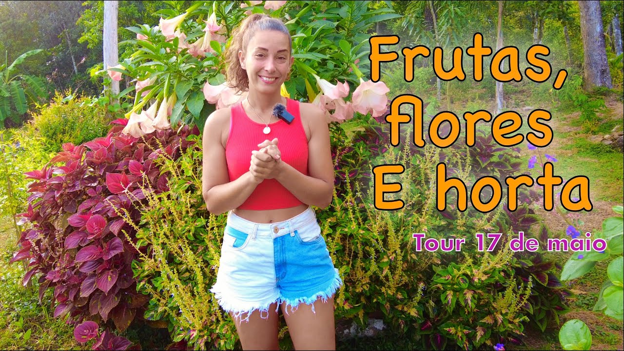 Primeiro TOUR Março 2025