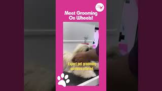 Pink Paws | Grooming On Wheels | #petcare #pinkpaws #pets #petcarematters