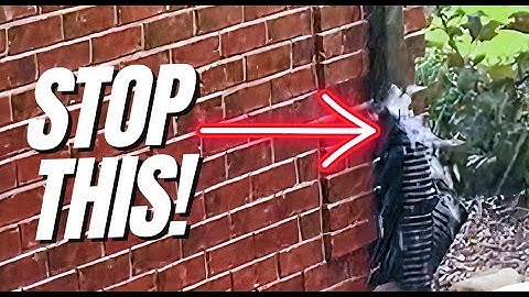 How to Make a Downspout Cleanout Connector - PVC vs Corrugated