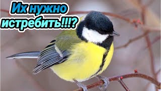 видео: Этих вредителей нужно травить ежедневно иначе... картинка: Этих вредителей нужно травить ежедневно иначе...