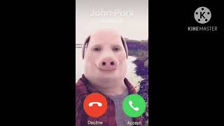 Famous When you Decline John Pork’s Call Profile