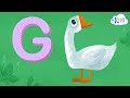 Learning the Letter G Sounds