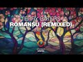 Terry gaters  romansu polyed remix emergent shores