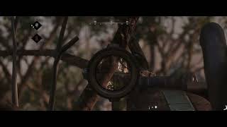 Hunt  Showdown why you should not peek windows
