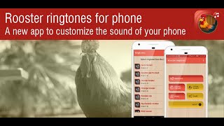 App rooster ringtones HOR2 screenshot 1