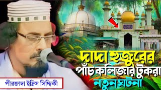 The Incident Of Dada Huzoors Five Pieces Of Liverpirzada Idris Siddiqui 2024New Waz Mahfil Fur...