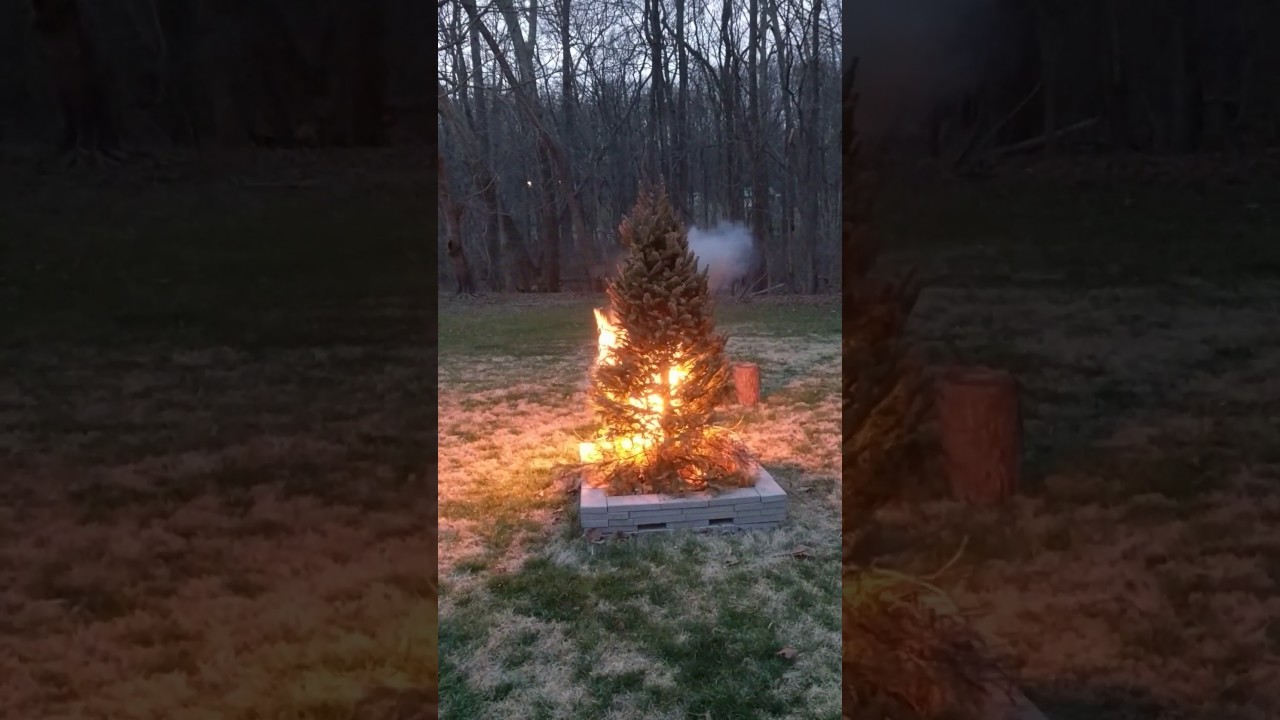 Christmas tree fire! YouTube