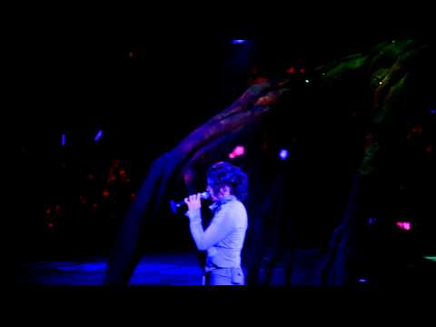 鄭伊健Beautiful Day演唱會2011 -- 直至消失天與地