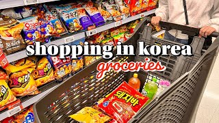 shopping in korea vlog 🇰🇷 groceries haul with prices 🛒 snacks unboxing \& cooking 🧑‍🍳