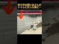 ワンコが取ったまさかの行動