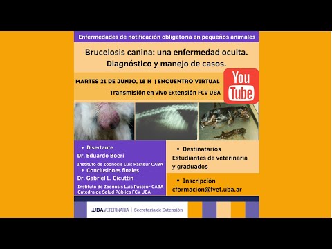 Video: Recorte de mascotas: el perro sobrevive a una sobredosis de heroína y 21 pequeñas tortugas nacen en el zoológico australiano