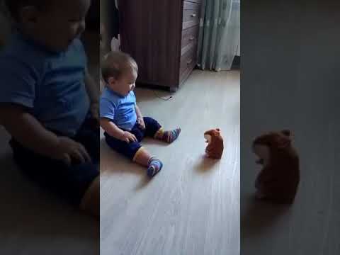 oyuncaktan korkan bebek çok komik